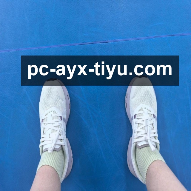 爱游戏体育(AYX)官方网站-登录入口