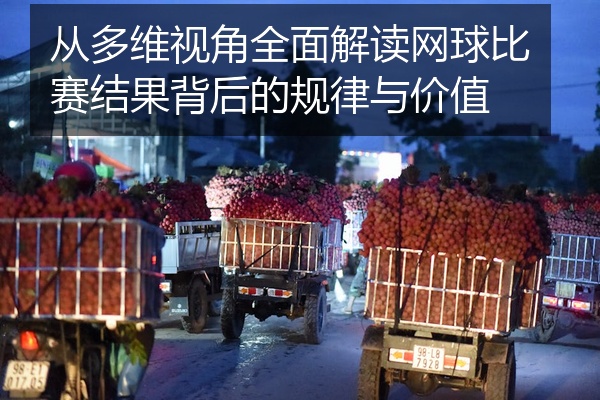 从多维视角全面解读网球比赛结果背后的规律与价值