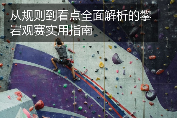 从规则到看点全面解析的攀岩观赛实用指南