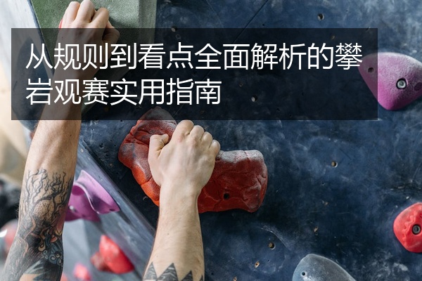 从规则到看点全面解析的攀岩观赛实用指南