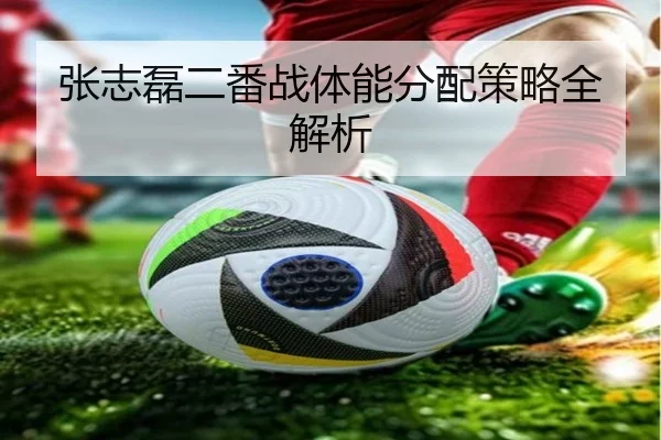 张志磊二番战体能分配策略全解析